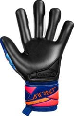 Găng Tay Thủ Môn Reusch Attrakt Infinity Evolution NC GK26 | 5670725 4127