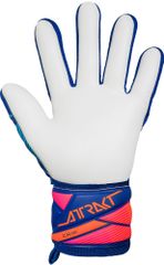 Găng Tay Thủ Môn Reusch Attrakt Grip Gk26 |  5670815 4126