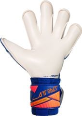 Găng Tay Thủ Môn Reusch Attrakt Gold X Evolution GK26 | 5670964-4126