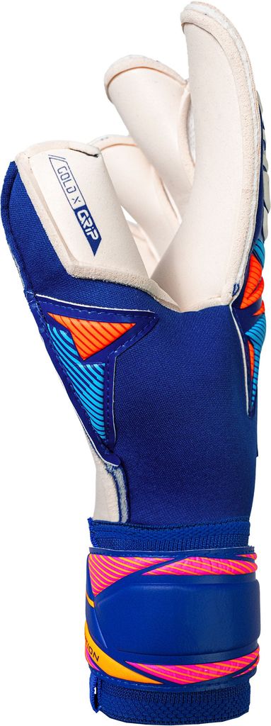 Găng Tay Thủ Môn Reusch Attrakt Gold X Evolution GK26 | 5670964-4126