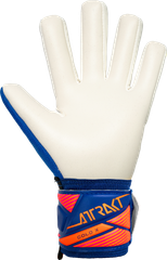 [Trẻ Em] Găng Tay Thủ Môn Reusch Attrakt Gold X NC Junior Gk26