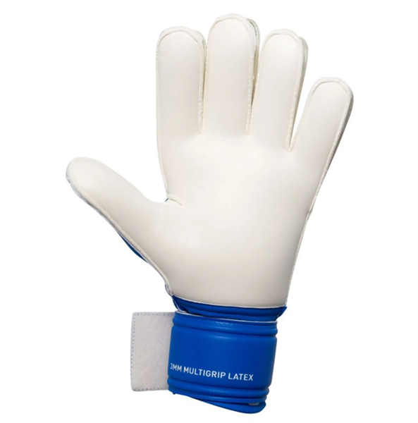 Găng Tay Thủ Môn PUMA Future Ultra Match RC 042083-01