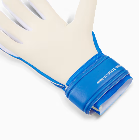 Găng Tay Thủ Môn PUMA Future Ultra Pro NC 042082-01