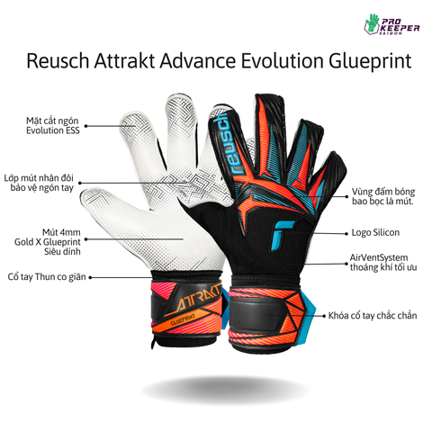 Găng Tay Thủ Môn Reusch Attrakt Advance Evolution Glueprint GK26 | 5670163-7090