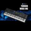  Yamaha MODX M6 | Synthesizer 61 phím 