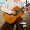  Guitar classic Yamaha C40 