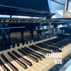  Piano Hybrid Yamaha AvantGrand N3X 