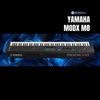  Yamaha MODX M8 | Synthesizer 88 phím 