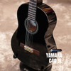  Guitar classic Yamaha C40 BL 