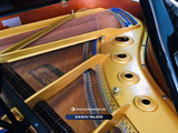  Grand Piano Kawai No 600 