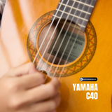  Guitar classic Yamaha C40 