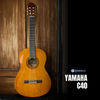  Guitar classic Yamaha C40 