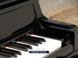  Piano Upright YAMAHA YU5 SXG | (Auto Play + Silent) 