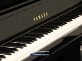  Piano Upright YAMAHA YU5 SXG | (Auto Play + Silent) 