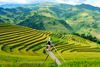  Tây Bắc Mùa Lúa Chín (6N5Đ): Nghĩa Lộ - Mù Cang Chải - Sapa - Fansipan - Lai Châu - Điện Biên - Mộc Châu 