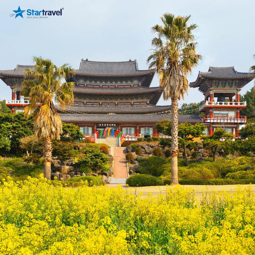 [16/10/2025] [VN] Tour du thuyền 5 sao tham quan hòn đảo thiên đường - Jeju | Trung Quốc - Hàn Quốc 