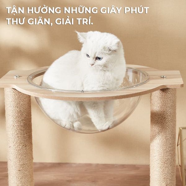 [Giảm giá 60%] Ổ Mèo Kèm Trụ Cào Móng, Kết Hợp Mika Trong Suốt - GU6