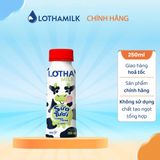  Sữa Tươi Thanh Trùng Có Đường Lothamilk Chai 250ml 