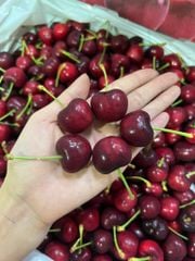 CHERRY MỸ SIZE 9.5 (tặng hộp quà và túi giấy xinh)