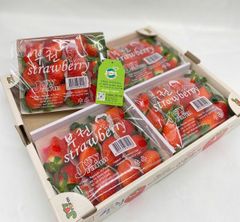 Dâu Tây Hàn Quốc JOYFARM hộp 330gr