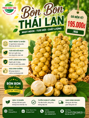 BÒN BON THÁI