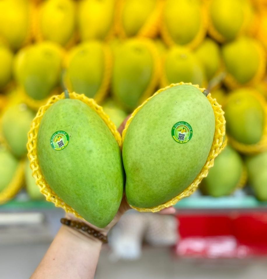 Xoài cát Hòa Lộc loại 1