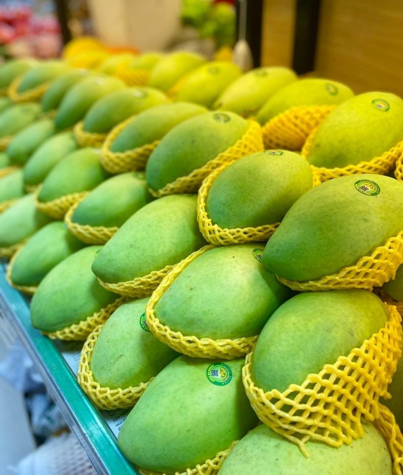 Xoài cát Hòa Lộc loại 1