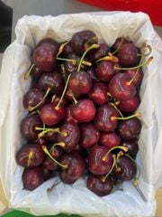 CHERRY MỸ SIZE 9.0 (tặng hộp quà và túi giấy xinh)
