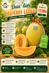 DƯA LƯỚI HUỲNH LONG