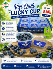 VIỆT QUẤT LUCKY CUP