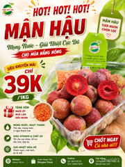 Mận Hà Hội GIÁ SỐC TRI ÂN