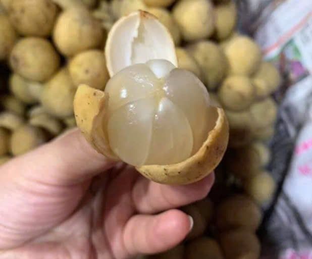 BÒN BON THÁI