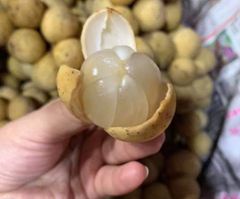 BÒN BON THÁI