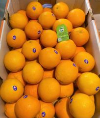 Combo 2 quả cam vàng Úc ~700g