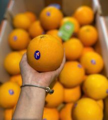 Combo 2 quả cam vàng Úc ~700g