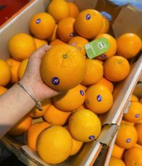 Combo 2 quả cam vàng Úc ~700g