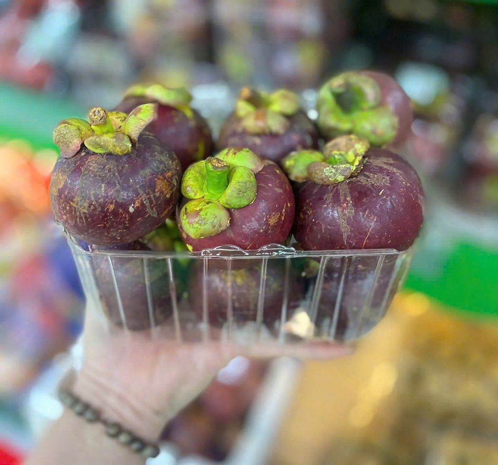 Măng cụt Bảo Lộc