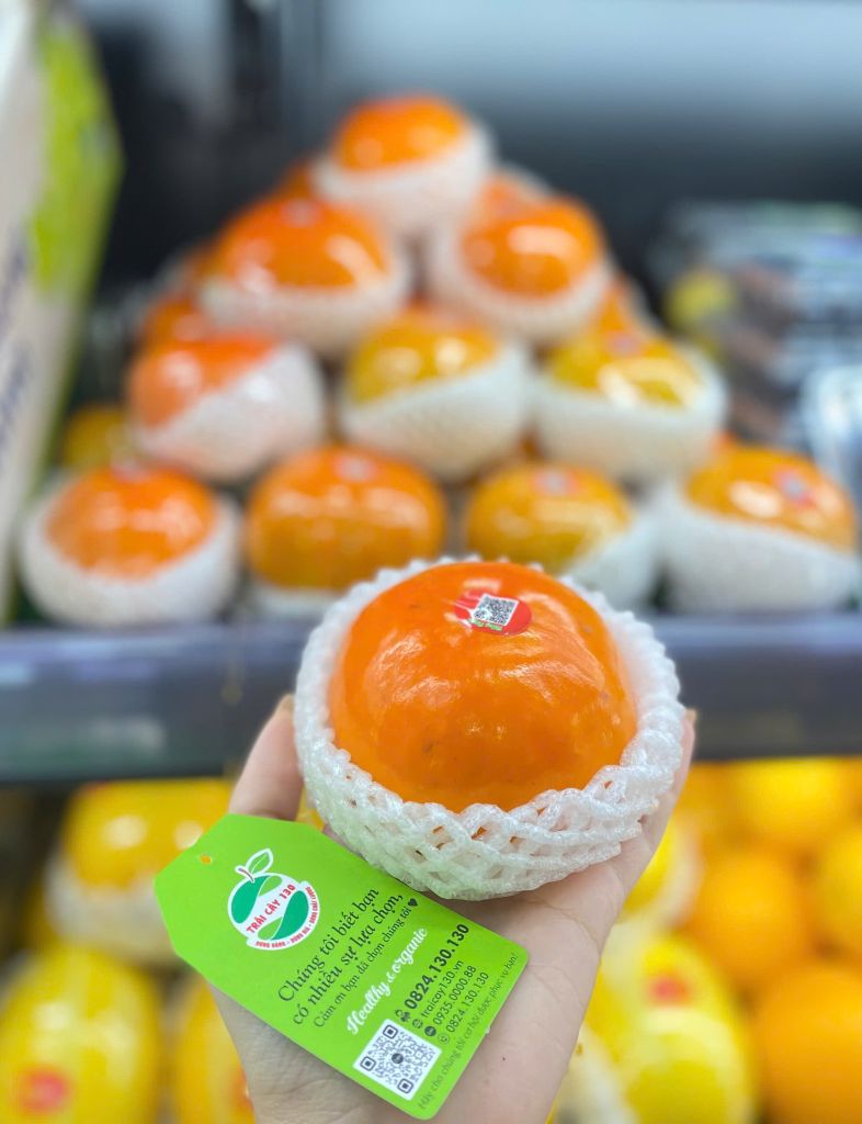 Hồng Fuji Giống Nhật