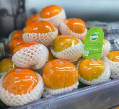 Hồng Fuji Giống Nhật