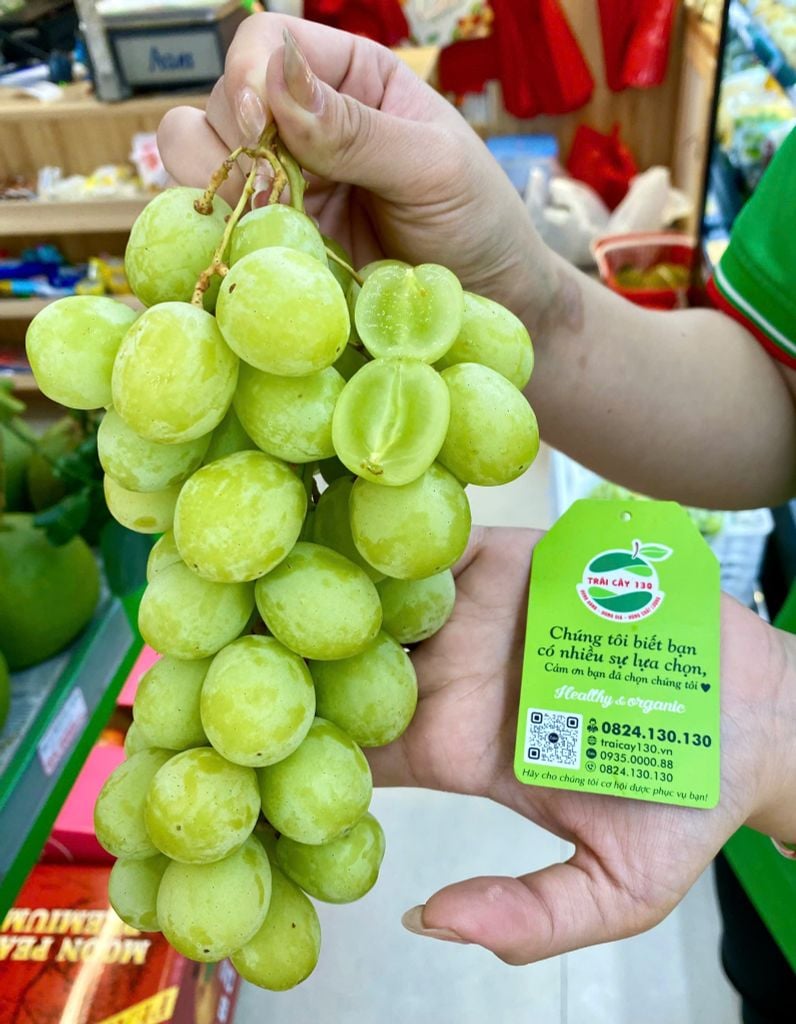 NHO XANH KHÔNG HẠT MỸ Air Chief