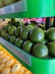 BƠ BOOTH GIỐNG MỸ