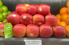 Táo Ambrosia New Zealand