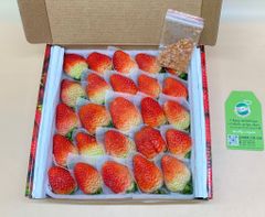 Dâu tây Đà Lạt