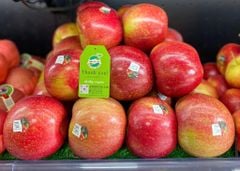 TÁO MẬT EVER CRIPS MỸ size lớn