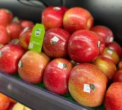 TÁO MẬT EVER CRIPS MỸ size lớn