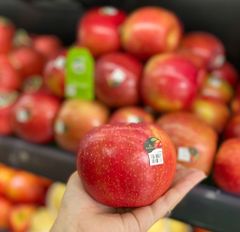 TÁO MẬT EVER CRIPS MỸ size lớn