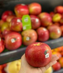 TÁO MẬT EVER CRIPS MỸ size lớn