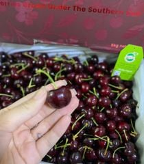 CHERRY ÚC