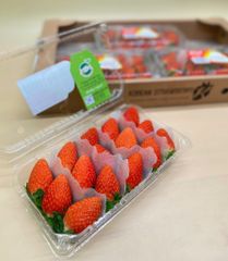 Dâu Tây Hàn Quốc hộp 330g