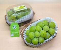 Nho Mẫu Đơn 450g (Hộp)